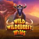 Wild Wildebeest Wins screenshot